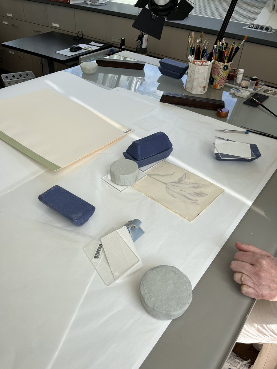 pip_fletcher's tweet photo. Behind the scenes in the conservation department @harvartmuseums Wonderful studio space and exciting to the process of conserving art! https://t.co/EUXRYcCnb2