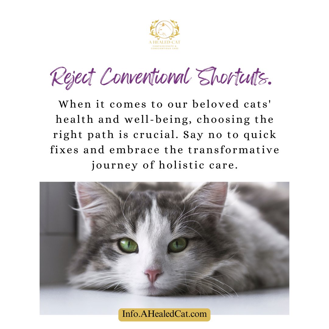 Let's prioritize our cats' health, happiness, and quality of life, taking the time to understand their unique needs and nourishing their entire being. tinyurl.com/holisticcatcar… #CatCare #HolisticCare