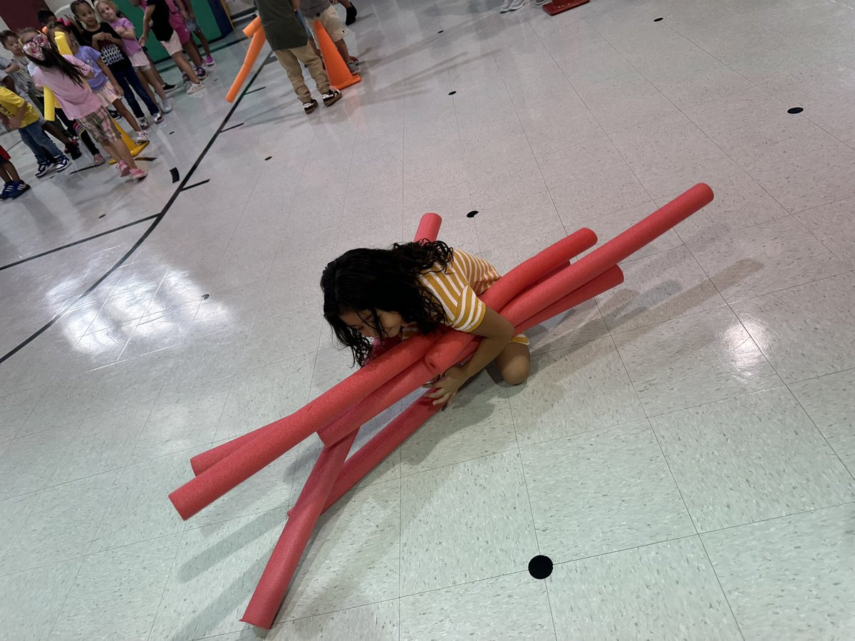 Jeanette Ortiz tweet media