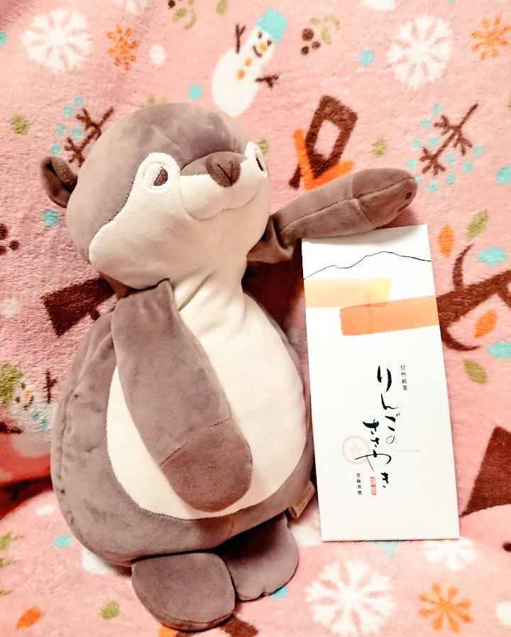 メイ:ついつい、アテレコしたくなるかわいさ、、❤️🐻

うっそー:ドヤァ(*´ω｀*)

メイ:笑🐻