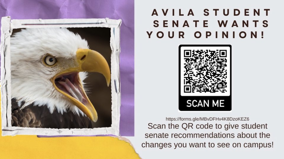 Avila Activities tweet media