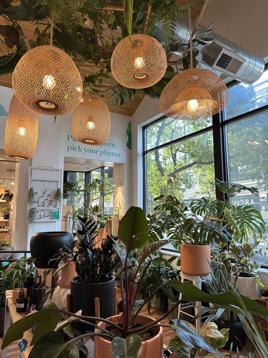 PottedPlants.org (@pottedplantsorg) on Twitter photo Plant store goals (đź‘‹ <a href="/TheSill/">The Sill</a>!) Plant store goals (đź‘‹ <a href="/TheSill/">The Sill</a>!)