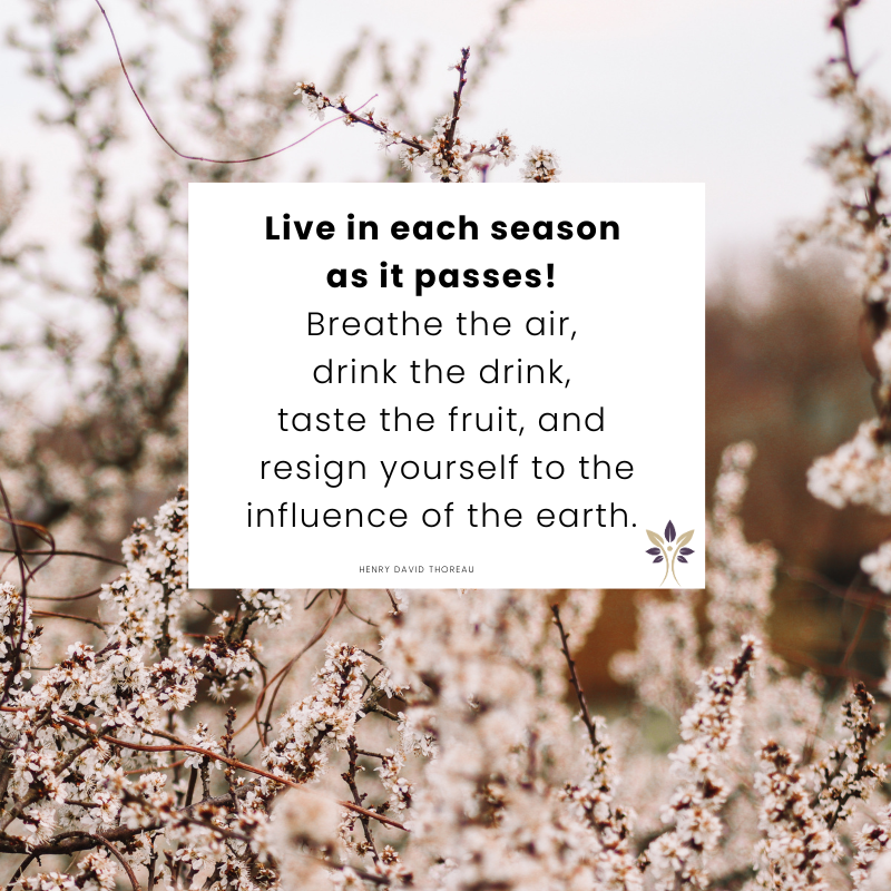ParagonWell's tweet photo. Embrace Every Season: Live Fully as Time Passes https://t.co/56Z53tgNID