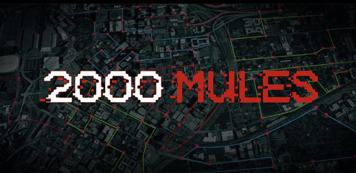 Both the Special Counsel second indictment and the Georgia indictment hinge on the premise the 2020 election wasn’t rigged and stolen? What if it was? I’m going to post “2000 Mules” free on X for one weekend, September 8-10, so everyone can watch and make up their own minds