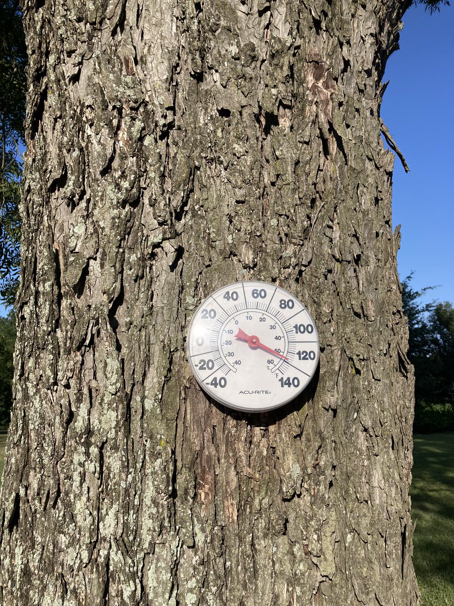 Getting those DD60’s in.