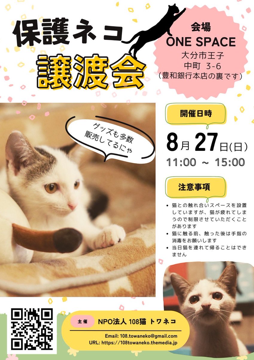 skullaji's tweet photo. お早うございます！
晴れの大分市です☀️

8.27（日）に保護猫譲渡会が開かれます。
ご興味ある方はお気軽にお立ち寄りください。
#保護猫
#譲渡会
#108猫
#NPO法人108猫（トワネコ）

健やかな1日を☆ https://t.co/nI6sj5OY1N