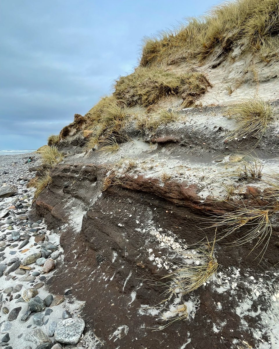 9/9 Our soft western coastline is very dynamic, moves about and can recover. But it is also clear that some areas are rapidly changing. The predicted increase of extreme weather events will have huge impacts on our heritage and communities.
#ClimateChange #CoastalCommunities