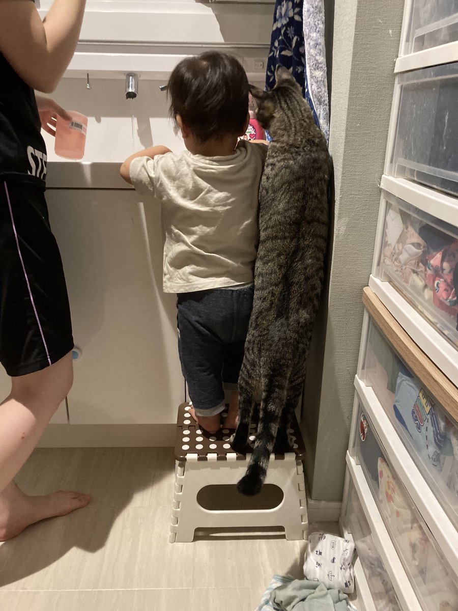 お水が気になる1歳と1歳