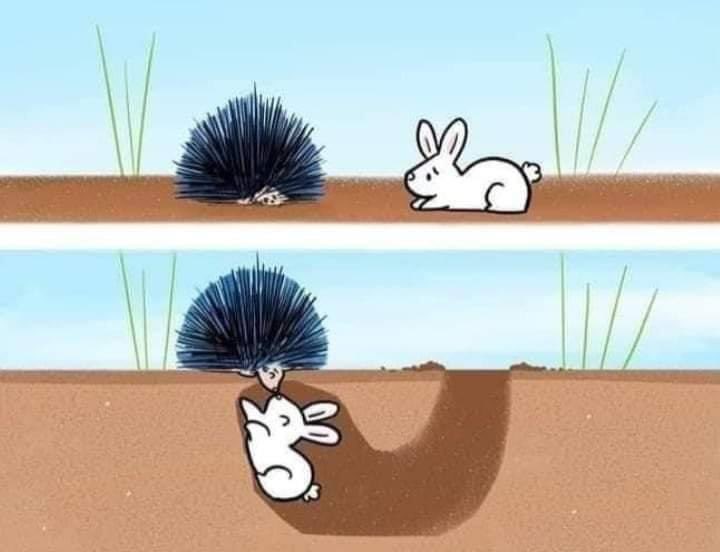 Quando realmente quer...

Você acha um jeito! ♥️