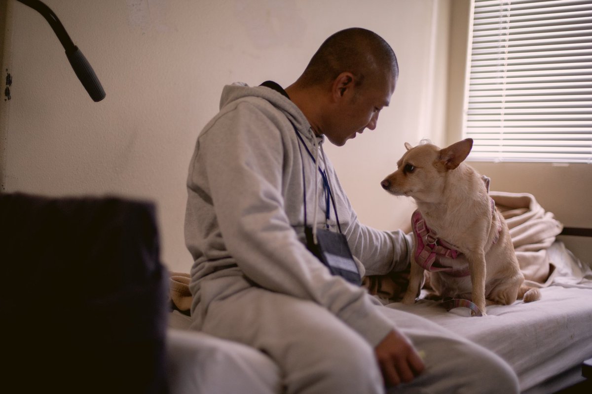 LongBeachCity's tweet photo. Just five months ago, Polin and his pet Melfina were unhoused and living in a tent. They have now moved into permanent housing for the first time in nearly three years and Polin has turned his life around. π° Read the full #insidelb story here π https://t.co/9e08KOQTWF https://t.co/q1LUSOkQmK