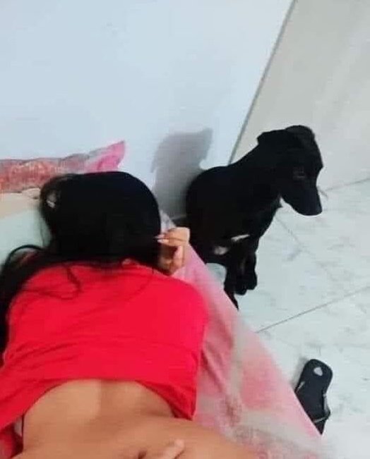 Ella: tenes protección??

Yo: quedate tranquila el pancho nos cuida😎🤙🏻