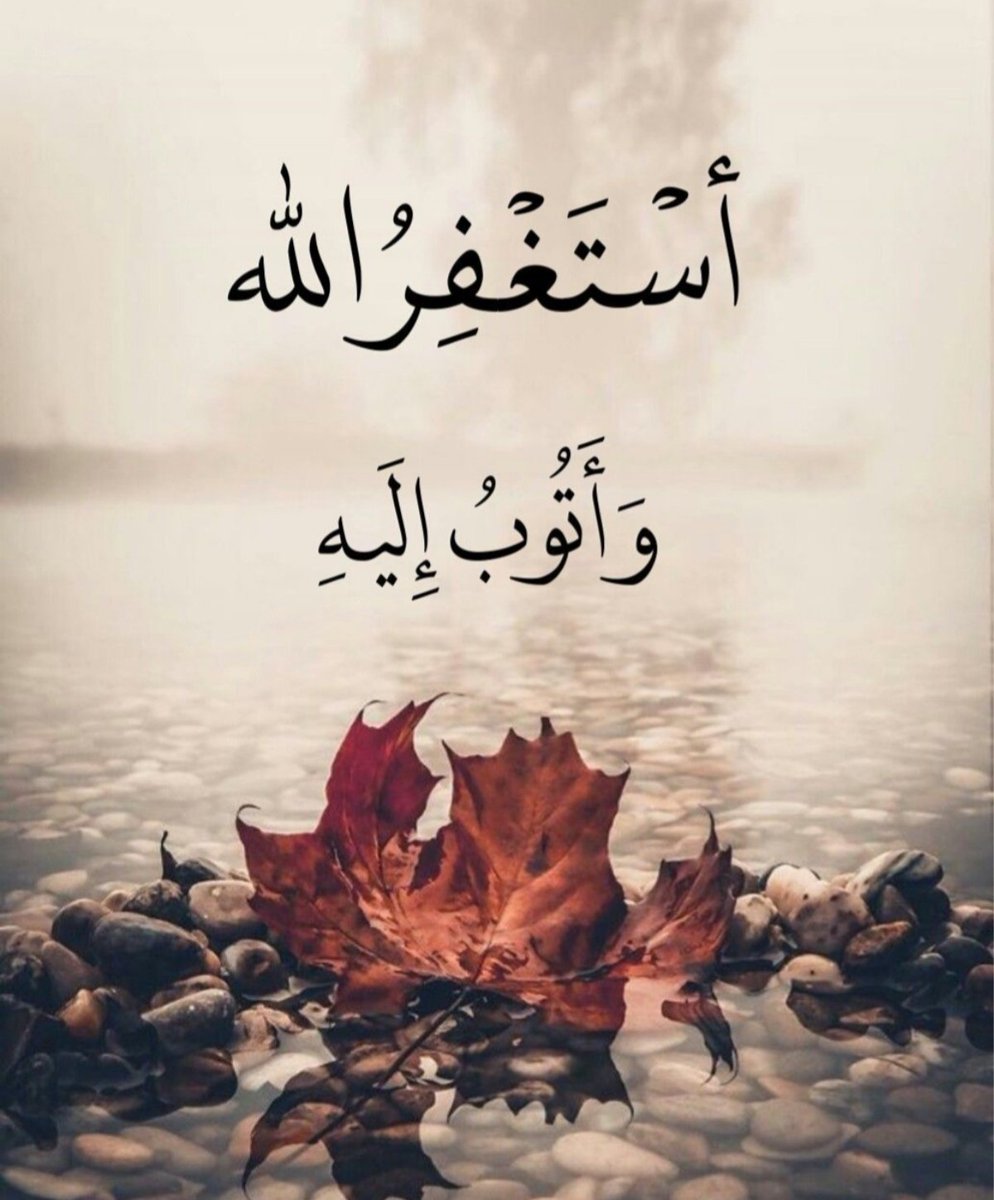 هل أجد ١٠٠ مستغفر ؟

أستغفرالله العلي العظيم وأتوب إليه.
#يوم_الجمعة