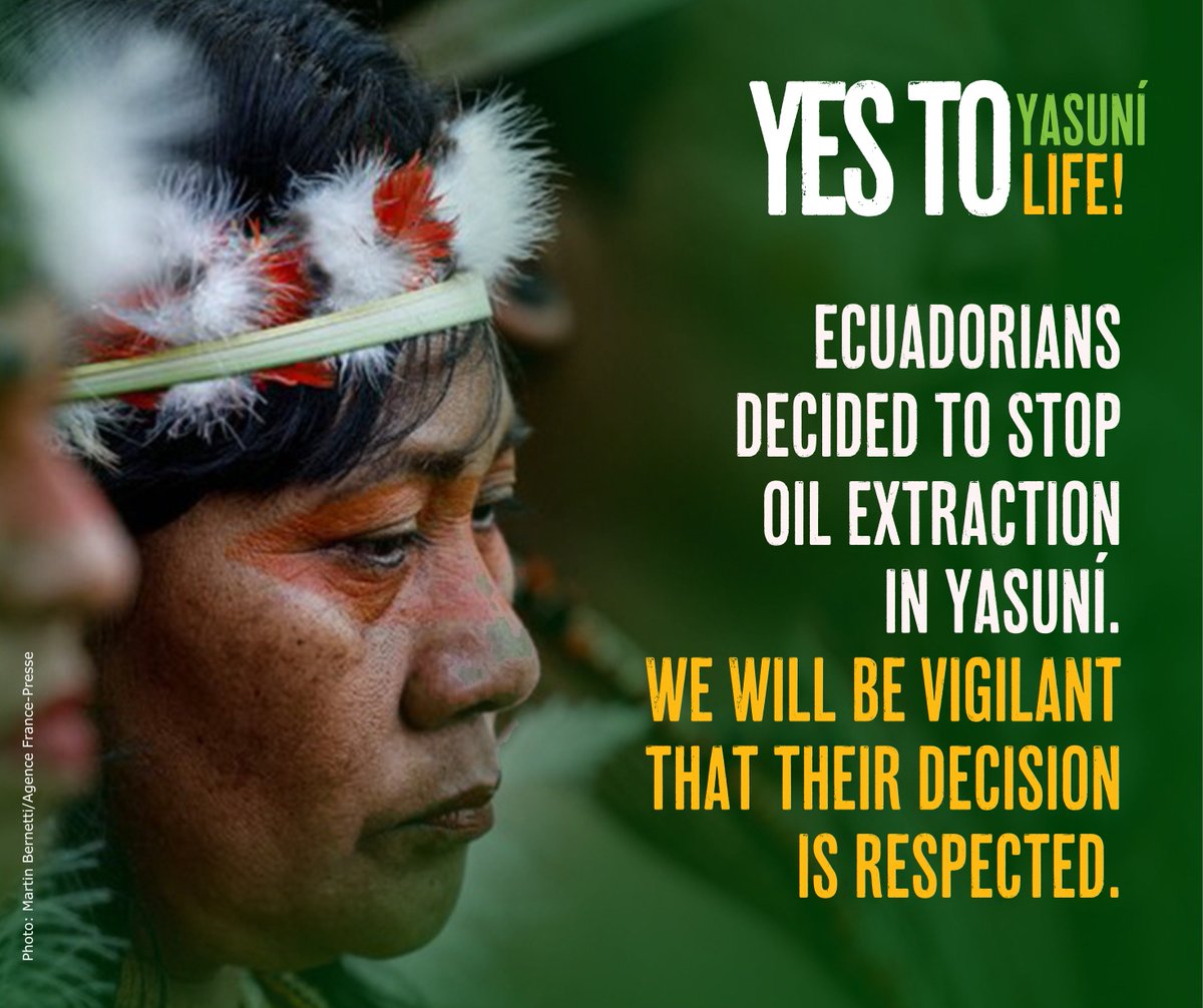 AmazonHeadwater's tweet image. Ecuadorians decided to stop oil extraction in #Yasuní National Park. 🌿

We will be vigilant that this decision is respected and that the government takes the necessary steps to start implementing it. 💪

#YesToYasuní 🌈 #YesToLife 🌎 
#SíAlYasuní