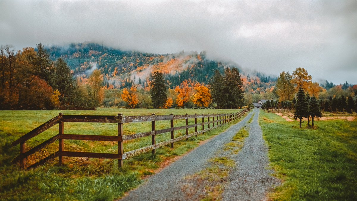 johncwingfield's tweet photo. Pacific Northwest fall, on 35mm film https://t.co/B1Dg00l9WR