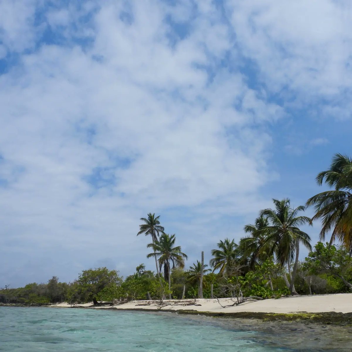 carlitox20's tweet photo. #playuela #venezuela #morrocoy #NaturePhotography #NatureBeauty #travelphotography https://t.co/aDHm9BPNWt