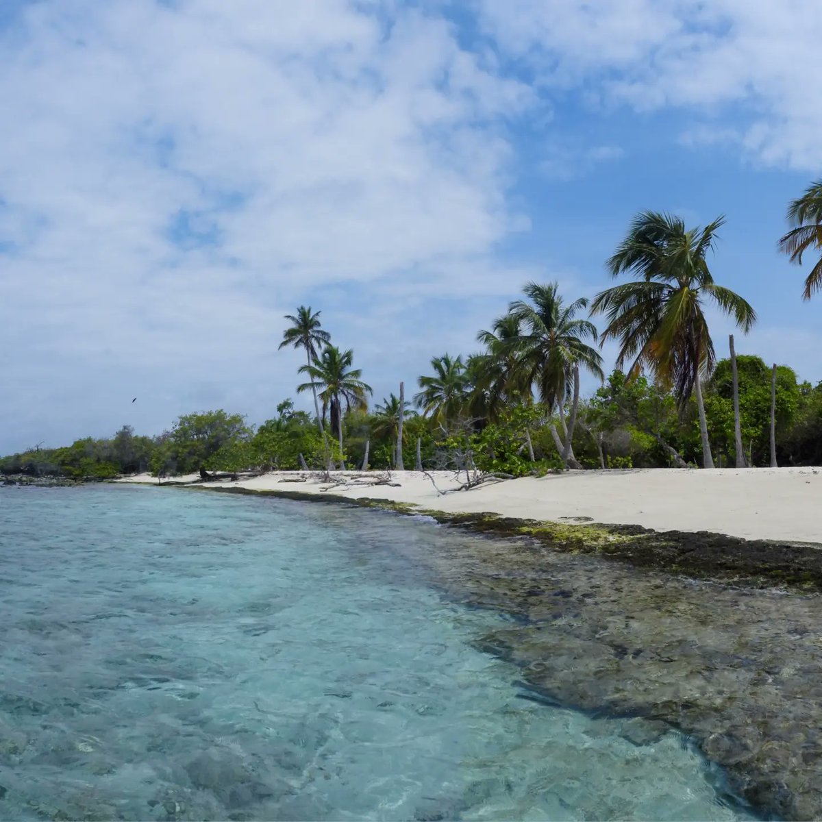 carlitox20's tweet photo. #playuela #venezuela #morrocoy #NaturePhotography #NatureBeauty #travelphotography https://t.co/aDHm9BPNWt