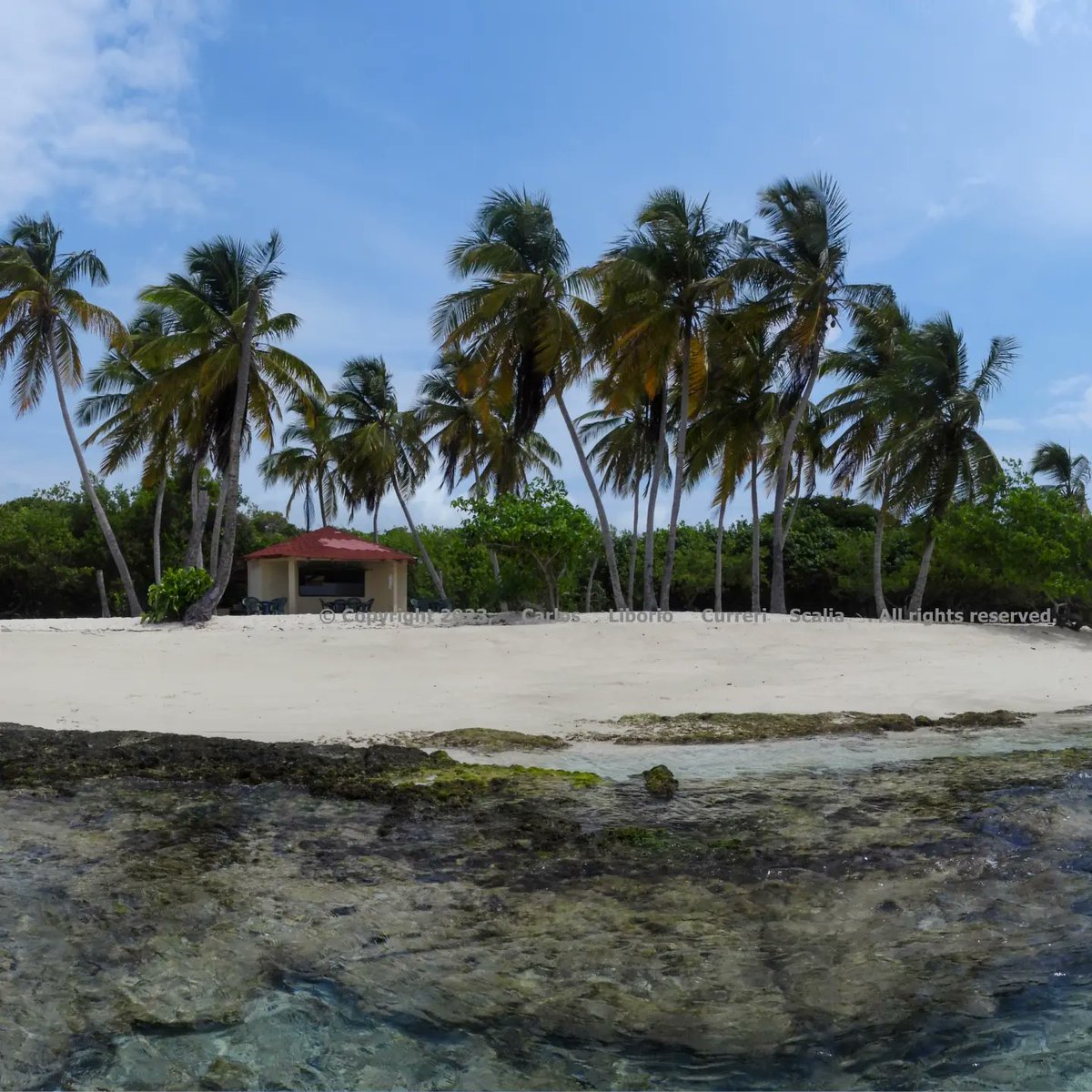 carlitox20's tweet photo. #playuela #venezuela #morrocoy #NaturePhotography #NatureBeauty #travelphotography https://t.co/aDHm9BPNWt