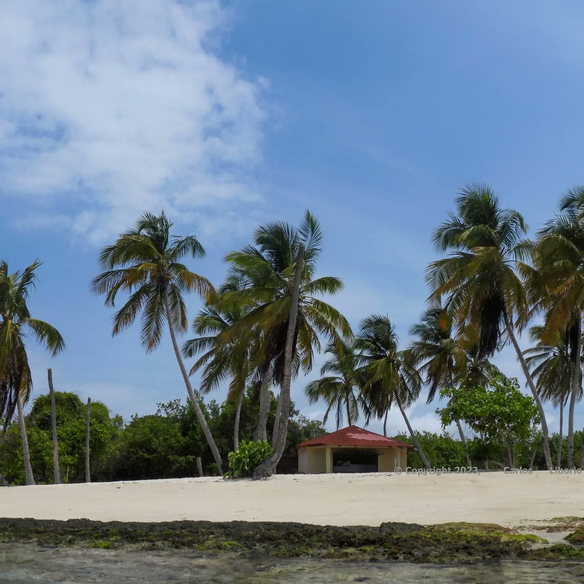 carlitox20's tweet photo. #playuela #venezuela #morrocoy #NaturePhotography #NatureBeauty #travelphotography https://t.co/aDHm9BPNWt