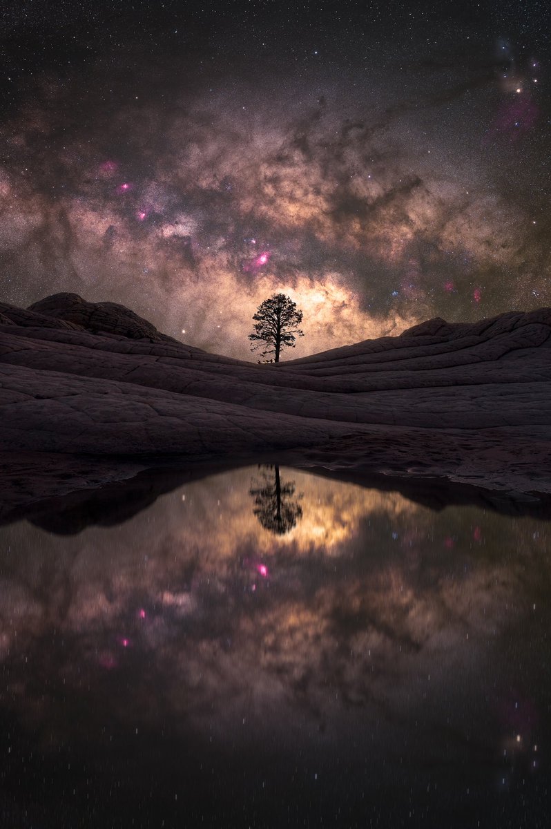 Imhoffimagery's tweet photo. Reflections reflections… https://t.co/1eLHdnrJjz