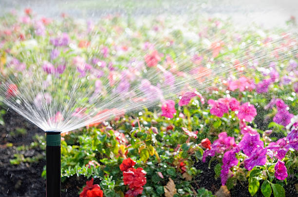 A beautiful and healthy lawn requires proper irrigation, and Parker Lawn Care offers expert irrigation services to keep your lawn and landscape well-watered and thriving. Contact us today to schedule your service and enjoy a lush and green lawn all season long.