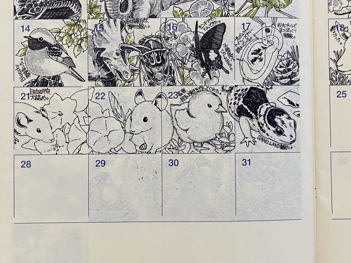 線画ベースで追い付きました。あまり遅れたくはないんですが、コマぶち抜きで描くのが楽しめるのは嬉しいんですよね。 