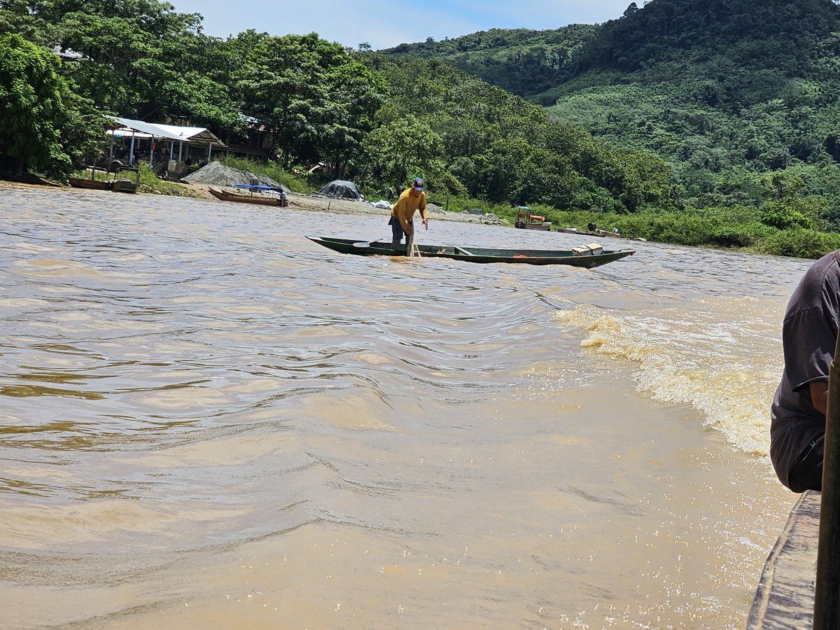 VALLEJOTEC's tweet image. Nechi. Puerta de Oro.