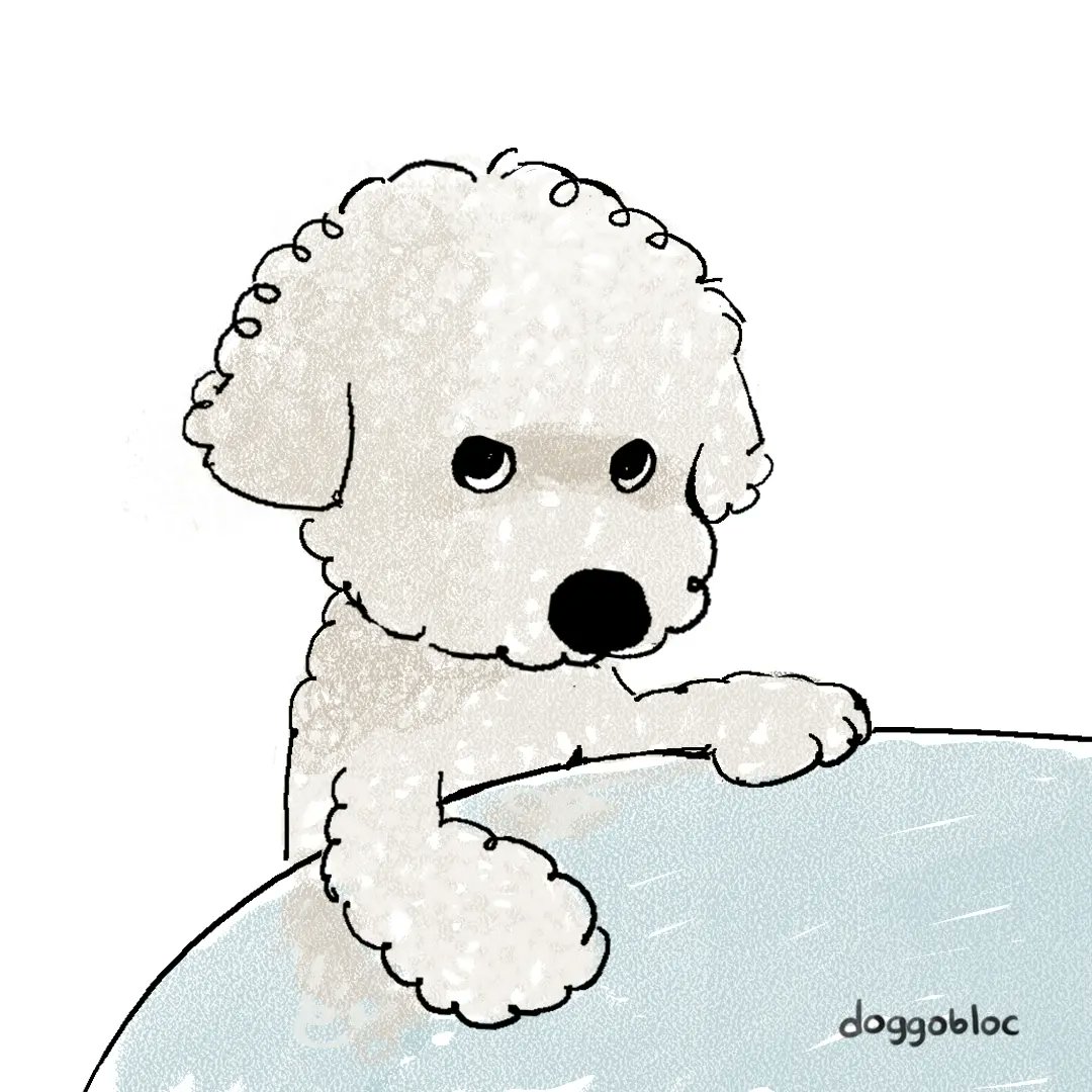 Doggobloc tweet media