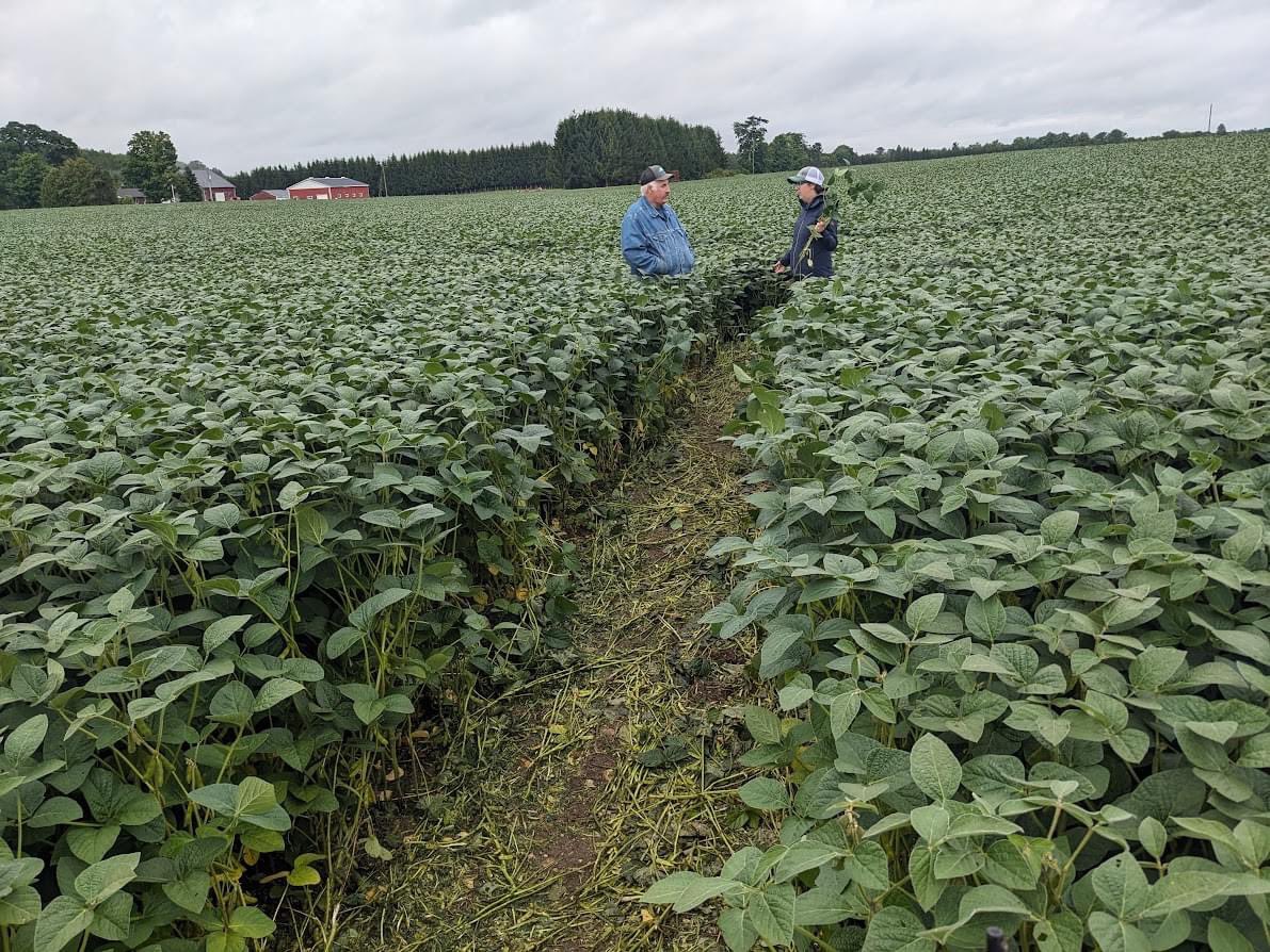 Toddridge Farm Services Ltd. tweet media