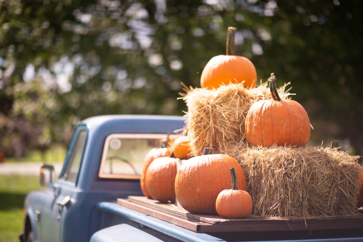 The 13 Best Pumpkin Farms in Ontario!

moderntraveller.ca/home/the-13-be…