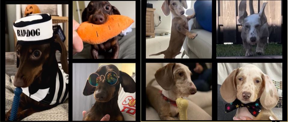 bb_sells1 tweet media