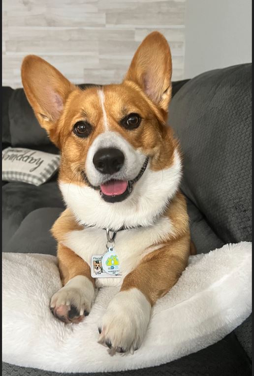 bb_sells1 tweet media