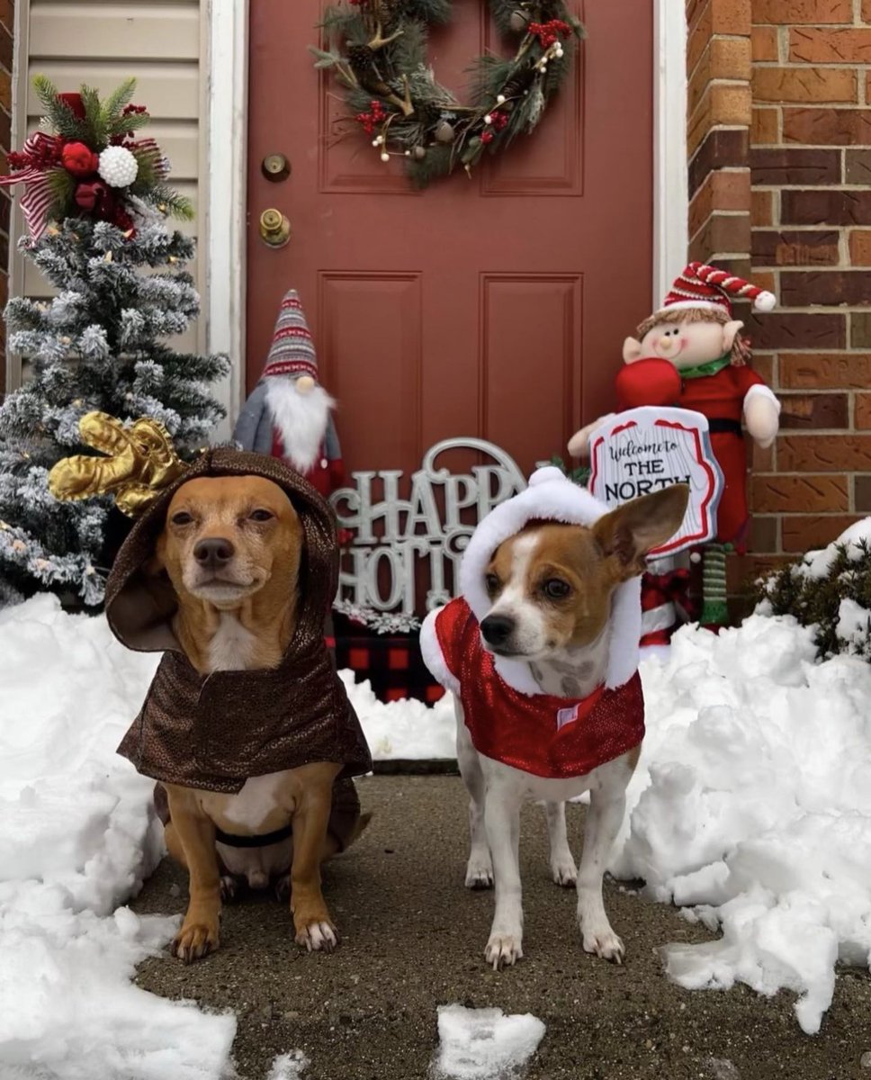 bb_sells1 tweet media