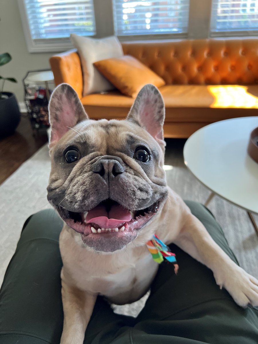 bb_sells1 tweet media