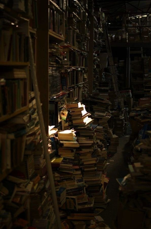 cosypixie's tweet image. books. books. books. books. book. books.