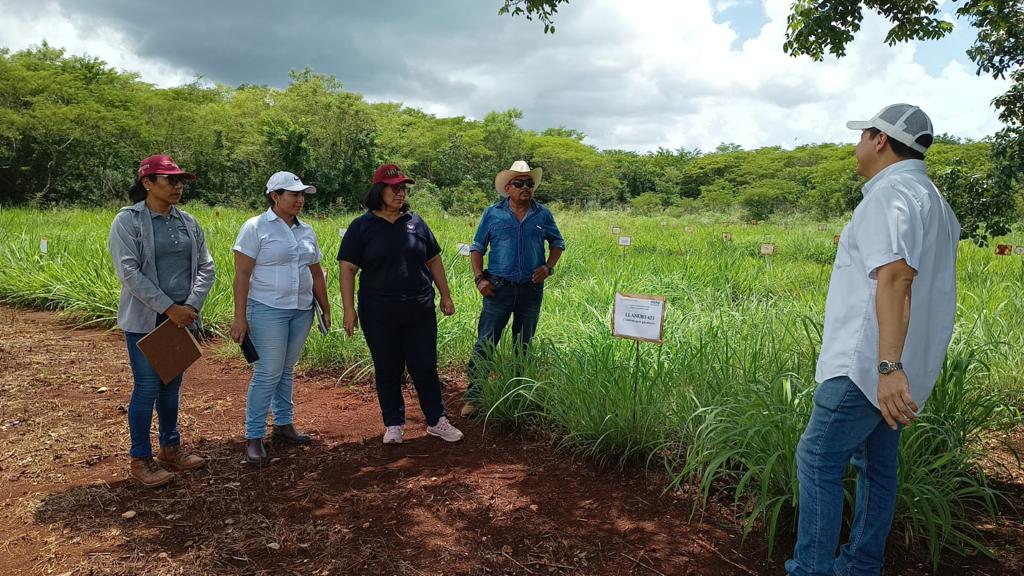 inifap's tweet photo. 👩🔬🧑🔬Personal investigador del #CIRSE y del #CIRPAC, bajo la coordinación técnica de la Dra. Ma. del Carmen Zavaleta Córdova del C.E. Chetumal capacitaron a técnicos del Ministerio de Agricultura y Ganadería de El Salvador https://t.co/71eCfbD4px