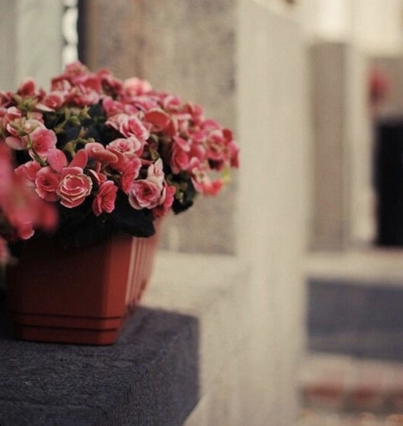 ‏❥|❁ سعاد .. tweet media