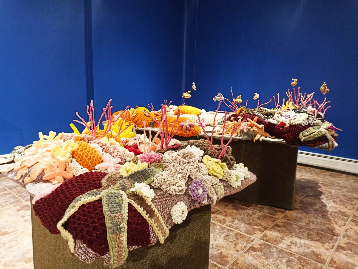 Dirección de Investigación UC (@investigacionuc) on Twitter photo 🧶🐟🎉 Estamos en el festival #PuertodeIdeasBiobio2023 con nuestra exposición "Arrecifes, tejiendo el fondo del mar", iniciativa realizada por <a href="/nucleo_nutme/">Núcleo Milenio NUTME</a>, @FacultadMAT_UC e <a href="/InvestigacionUC/">Dirección de Investigación UC</a>, que mezcla ciencia y creación artística. 👏
<a href="/puertodeideas/">Puerto de Ideas</a> <a href="/ucatolica/">Universidad Católica</a> <a href="/csignorio/">Chantal Signorio</a> 🧶🐟🎉 Estamos en el festival #PuertodeIdeasBiobio2023 con nuestra exposición "Arrecifes, tejiendo el fondo del mar", iniciativa realizada por <a href="/nucleo_nutme/">Núcleo Milenio NUTME</a>, @FacultadMAT_UC e <a href="/InvestigacionUC/">Dirección de Investigación UC</a>, que mezcla ciencia y creación artística. 👏
<a href="/puertodeideas/">Puerto de Ideas</a> <a href="/ucatolica/">Universidad Católica</a> <a href="/csignorio/">Chantal Signorio</a>