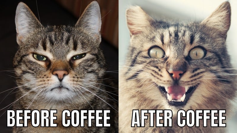 MercyAyleen's tweet photo. me everyday😊😂 https://t.co/zPHeWNYtju