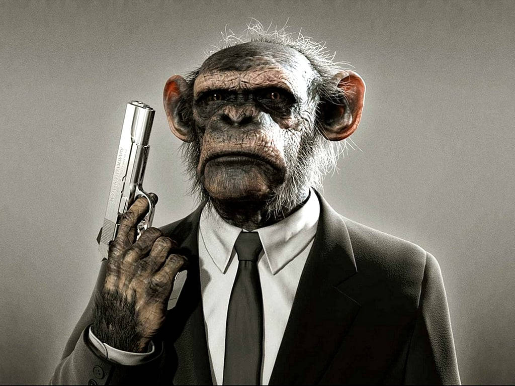 bwill1320's tweet photo. "If you're gonna fight, fight like you're the third monkey on the ramp to Noah's Ark…and brother, it's starting to rain." https://t.co/O2nnXSlE45