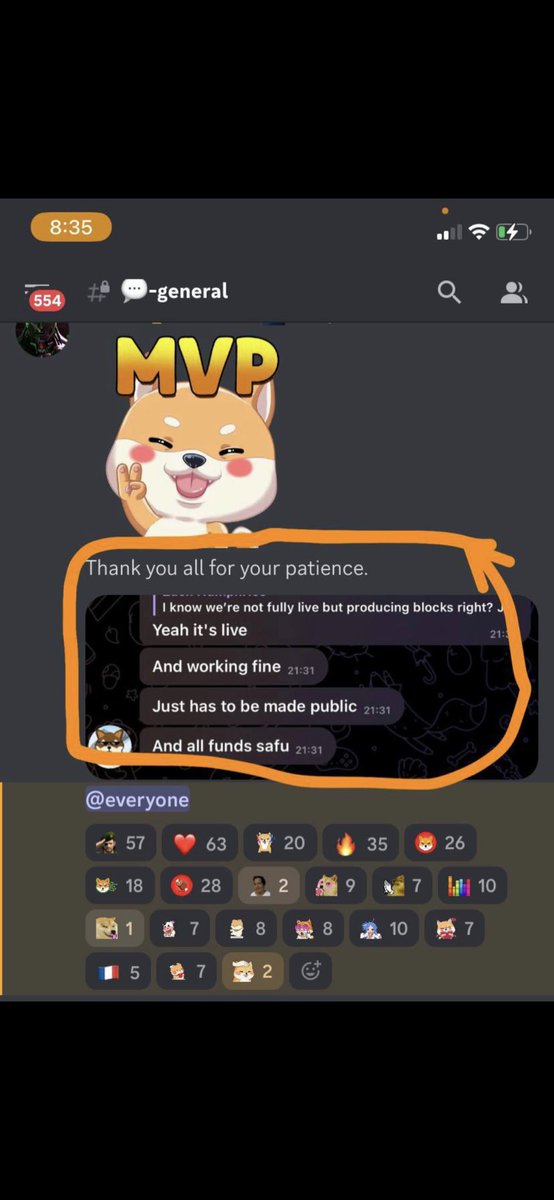 Half Shiba Inu tweet media