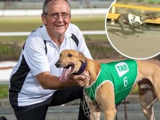 Stop Dog Racing Australia tweet media