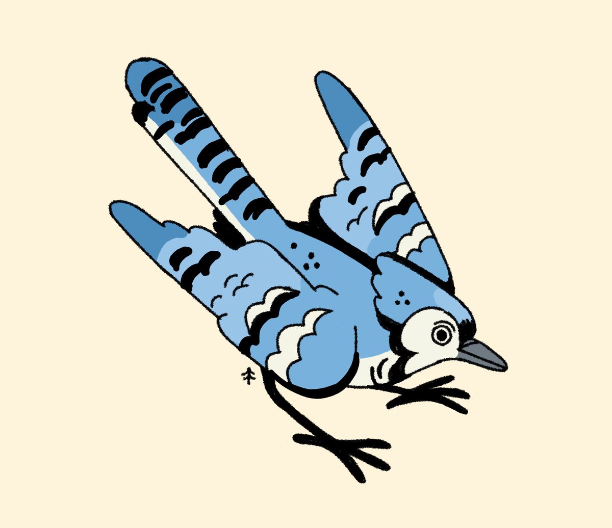 birdwarde's tweet photo. 💙BlueJay💙 https://t.co/C01Vif32lq