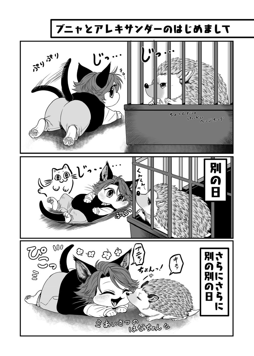 猫のキニャブニャを飼うキスブラ  🦔レキサンダーとはじめまして編など