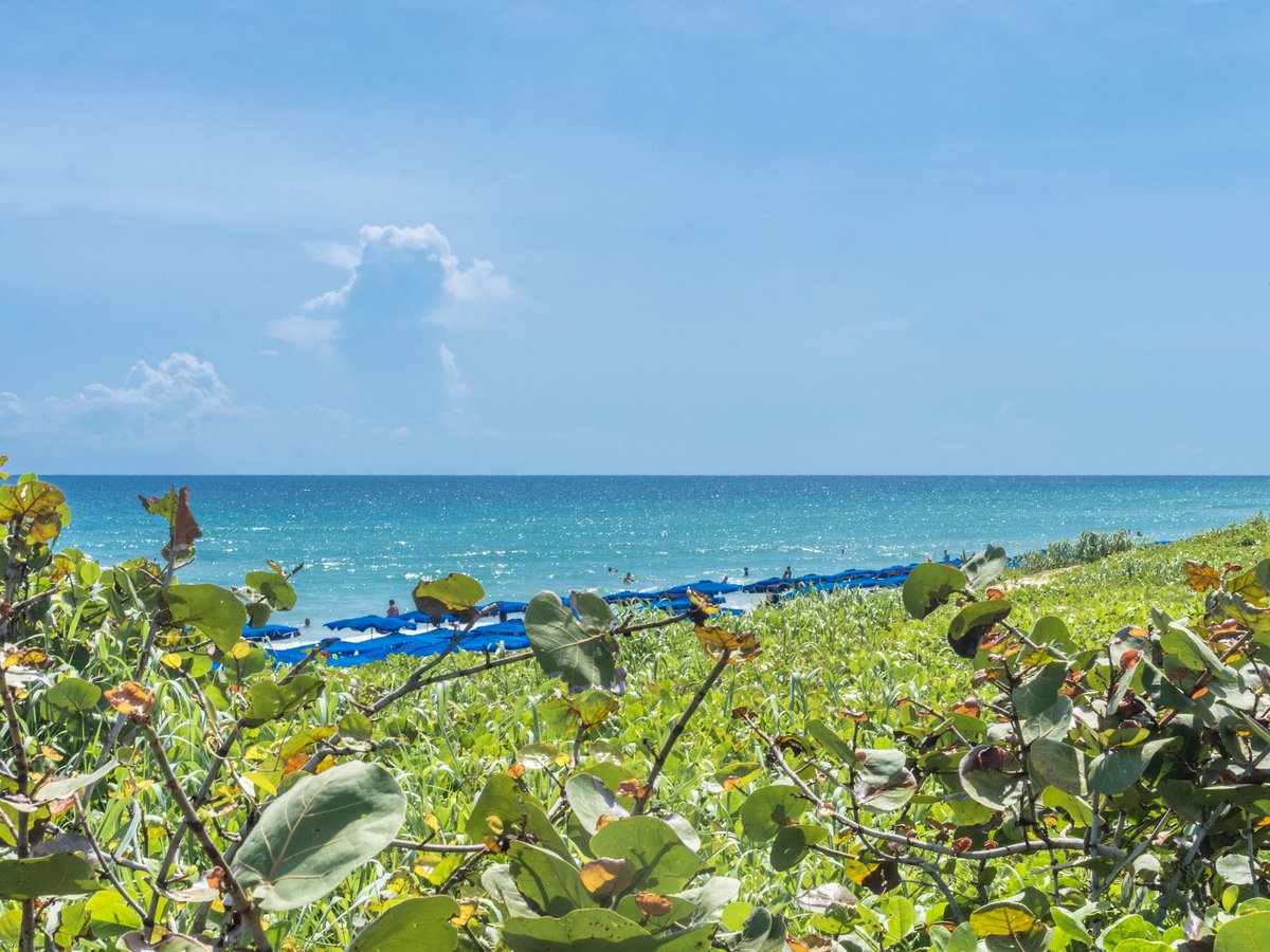 CubanacanHotel's tweet photo. Disfruta las hermosas playas de #Cuba 🇨🇺 sin salir de #LaHabana

📲 https://t.co/JBagznldJB

🥰 A solo 20 min del centro histórico, encontrarás confort y excelente servicio, justo en frente del mar 🏖️

#CubanacanHoteles #HotelMarazul #PlayaSantaMaria #CubaUnica #CubaÚnica https://t.co/bFxpF0RINq
