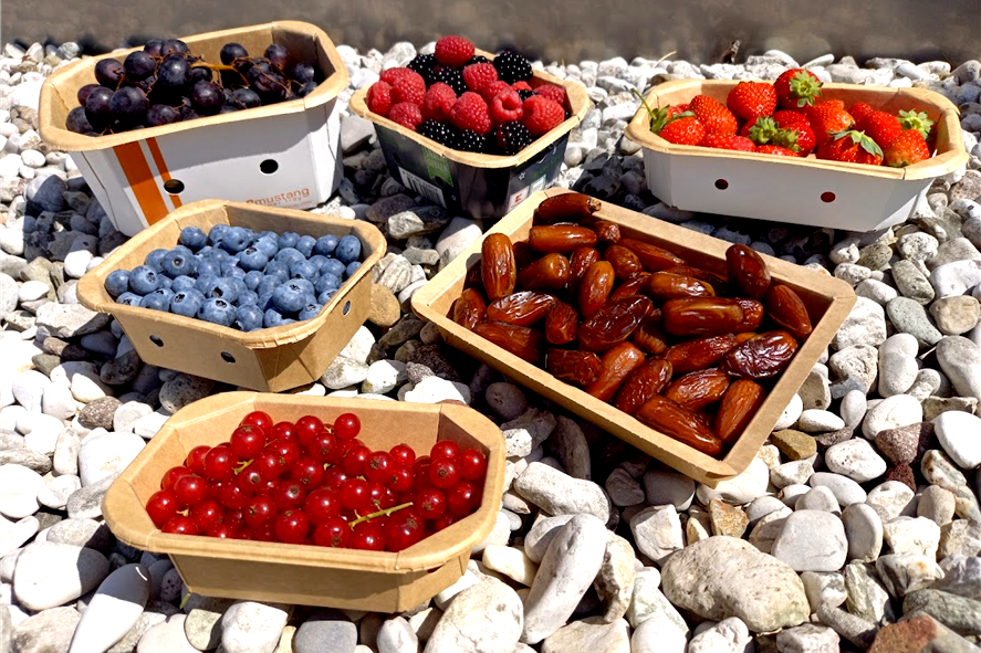 ♻ Ci assicuriamo che i nostri prodotti siano ecosostenibile e riciclabili al 100% perché è giusto prendersi cura dei prodotti, rispettare i consumatori e naturalmente il nostro pianeta 🌍

📩 Contattaci al DM per creare la tua linea packaging ecosostenibile!
☎️ +39 08281994097