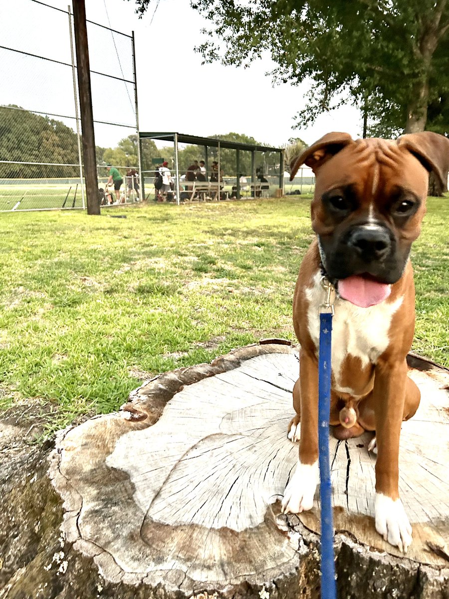 Our first informal team practice. Can’t wait to get out there. And of course our baseball boxer, Baloo, was there supporting us Oklahoma boys!!!