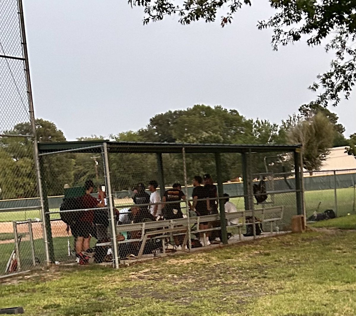 Collin Michael tweet media