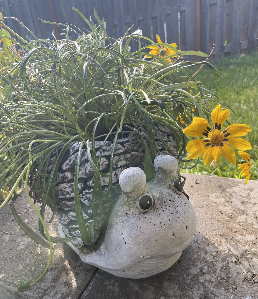 Jennaywayy's tweet photo. This heat has Nebraska plants utterly stressed this week https://t.co/Edp3h0HxLl