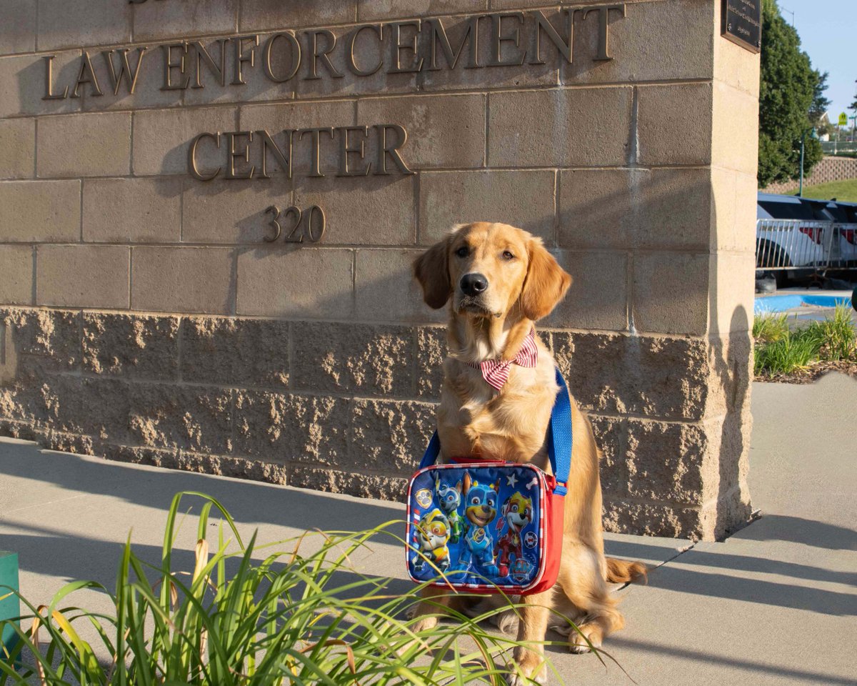 siouxfallspd's tweet photo. Leo is ready to head back to school! He has his Paw Patrol lunch bag and wore a bowtie to impress the teachers on the first day. Hope everyone has a great school year!  /713 https://t.co/qrC6ZH4xoW