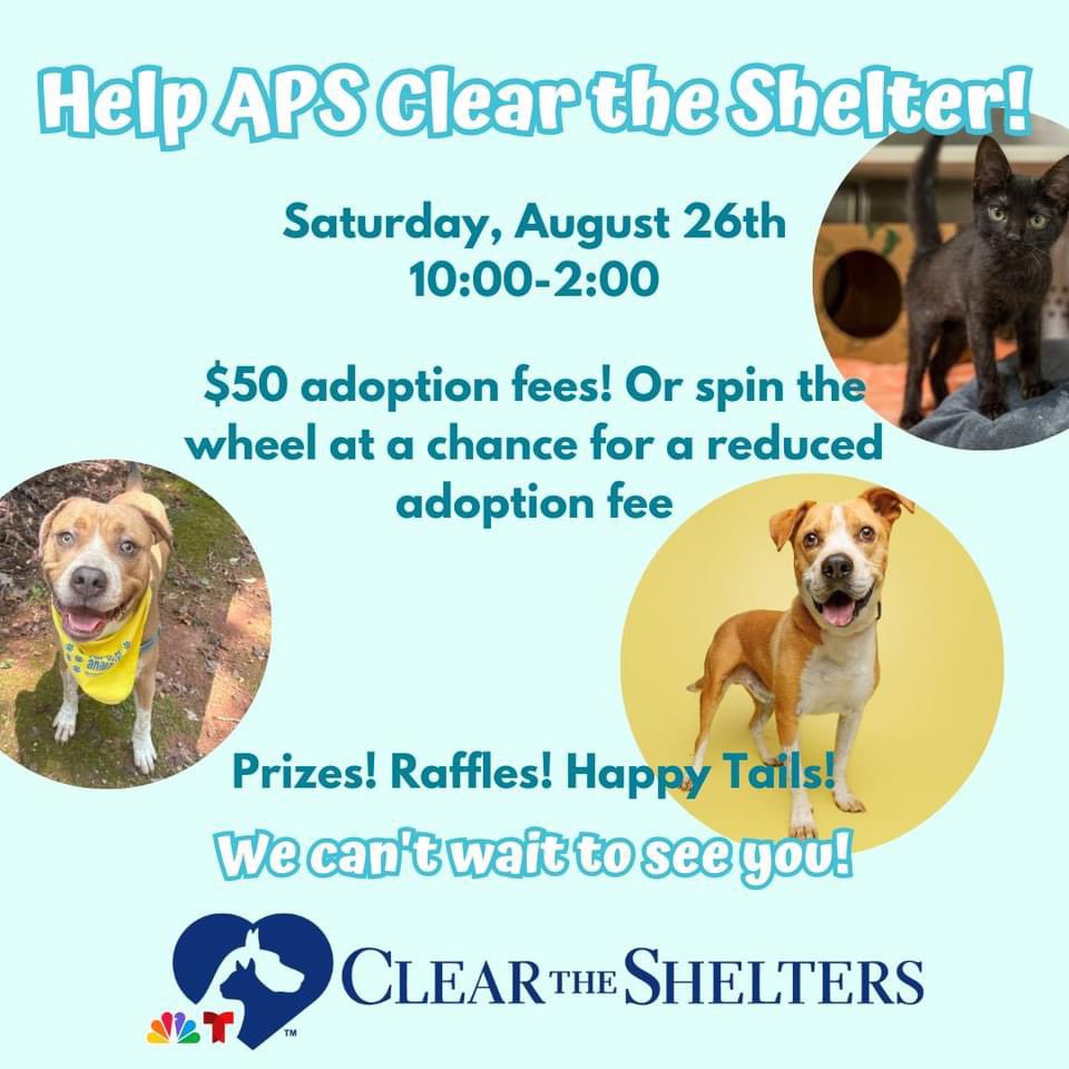 Mary Nettleton tweet media